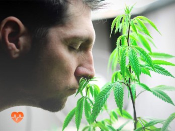 Детоксикация от марихуаны в Обухово